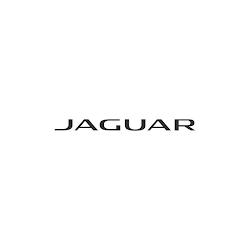 Jaguarofalbany - logo