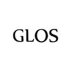 Salonglos - logo