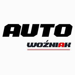 Wypozyczalnia samochodow wozniak - logo