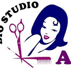Biostudioagnes - logo