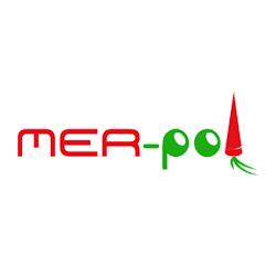 Mer-pol - logo