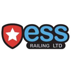 Ess-railing Dartford - logo