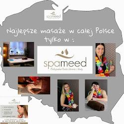 Spameed - logo