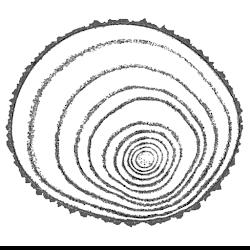 Westyorkshirefirewood - logo