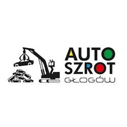 Zlomowaniepojazdowglogow - logo