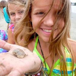 Marinediscoverycenter - logo