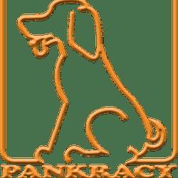 Pankracy - logo