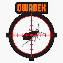 Owadek - logo
