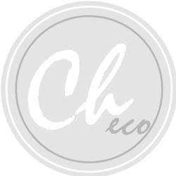 Ecochic - logo
