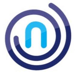 Netservice - logo