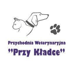 Weterynarz-przykladce - logo