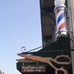 Shearmadnesssuisun - logo