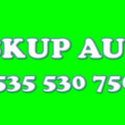 Skupaut toruń - logo