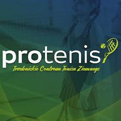 Protenis-trzebnica - logo