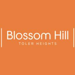 Blossomhillsolarhomes - logo