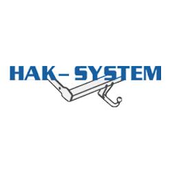 Haksystem - logo