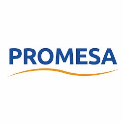 Promesa - logo