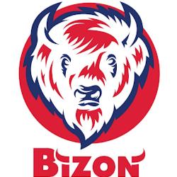 Bizonpub - logo