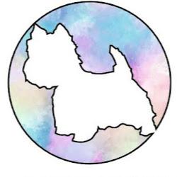 Doggie-studio - logo