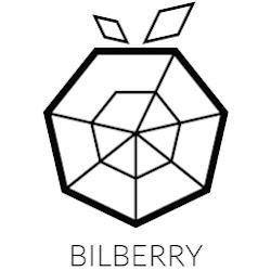 Bilberryled - logo