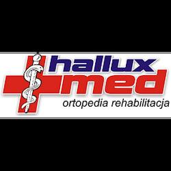 Haluksy - logo