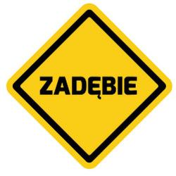 Cdz zadebie - logo
