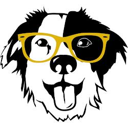 Wacovision - logo