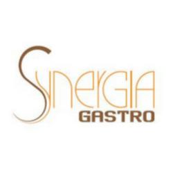 Synergiagastro - logo