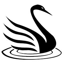 Blackswanstudio - logo
