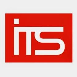 Itssystem - logo