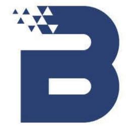 Bluenetwork - logo