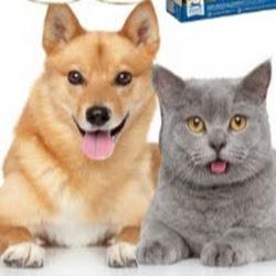 Animalsbox - logo