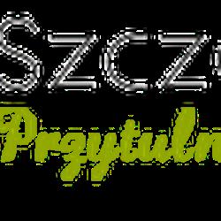 Szczepanik-knurow - logo