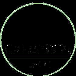 Lifeimpressionshi - logo