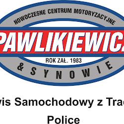 Pawlikiewiczisynowie - logo