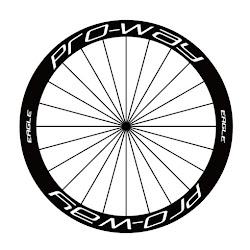 Pro way - logo
