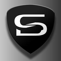 Stelviodetailing - logo