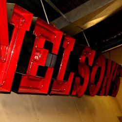 Nelsonswag - logo