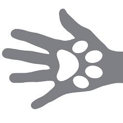Zayma - logo