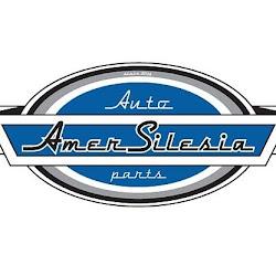 Amersilesia - logo
