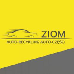 Autorecyklingziom - logo