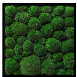 Green heaven - logo