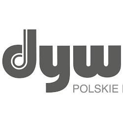 Dywilan - logo