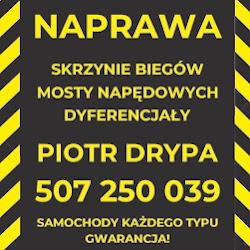 Skrzyniedrypa - logo