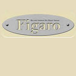 Figaro glarus - logo