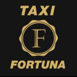 Fortunataxi - logo