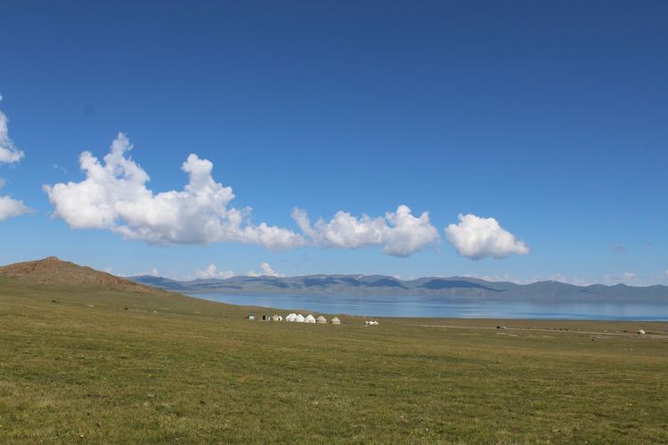 Changes in productivity of rangelands and pasture conditions in Kyrgyzstan