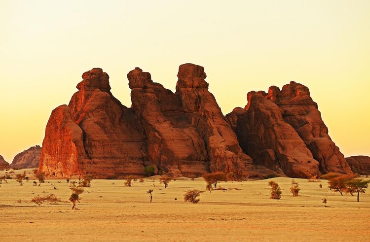 Making a living in the drylands of Chad
