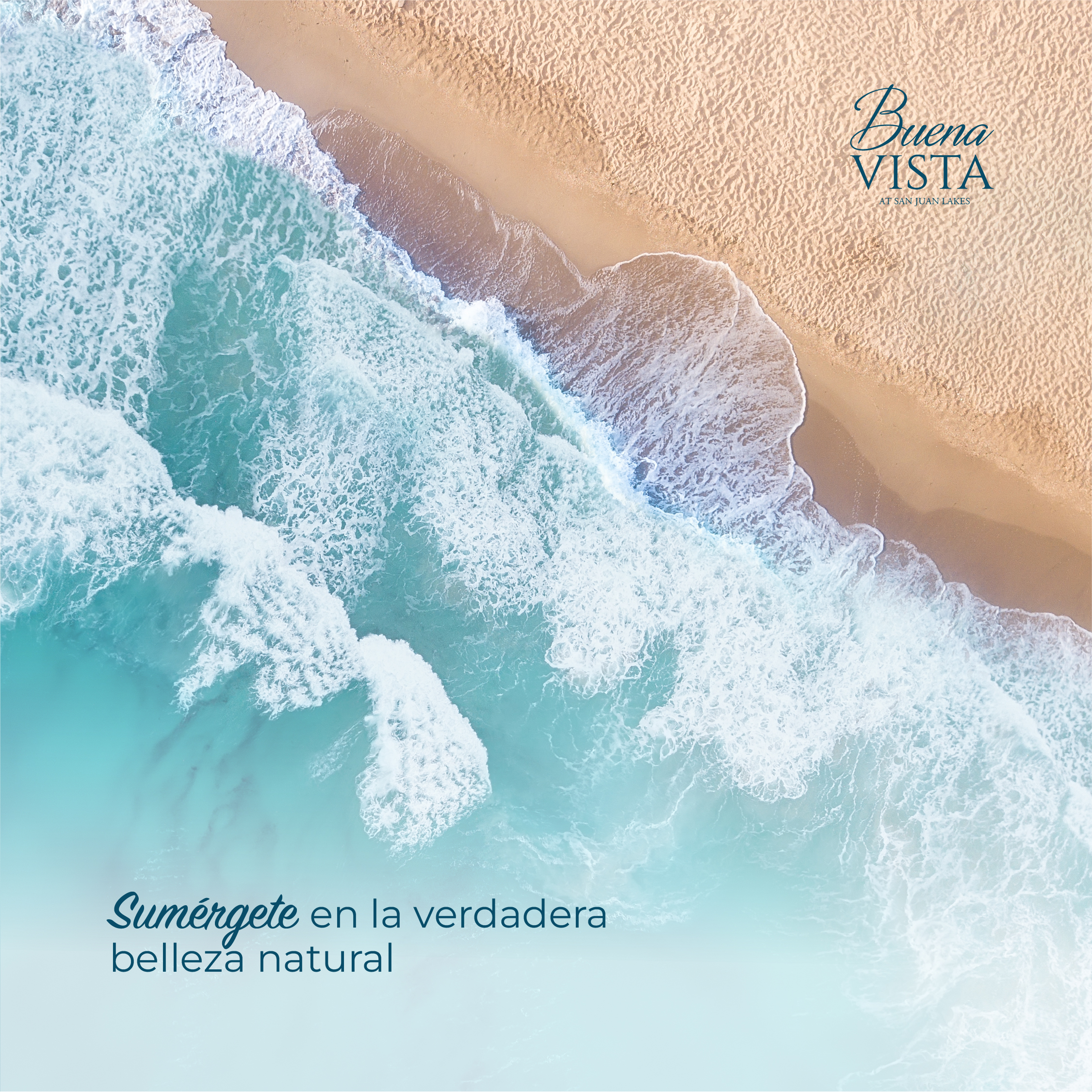 In Punta Cana Real Estate 12