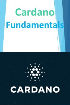 Cardano Fundamentals